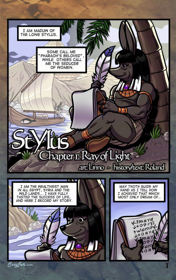 Stylus cover