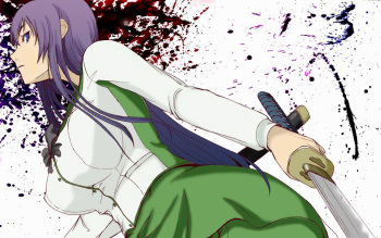 Gallery Saeko Busujima cover