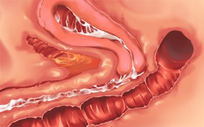 Daitenshi Michaela-sama no Haramase Shinpan ~Ii deshou, Suki na dake Dashinasai. Watakushi wa Kairaku nado ni Makemasen!~ page 5 full