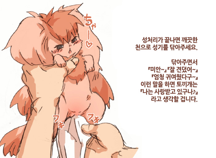 Hatsujouki no usagiinu ☆Tadashii taishohou☆ | 발정기인 토끼개한테 올바르게 대처하는 방법 page 9 full