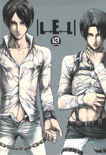 L->E<-L cover