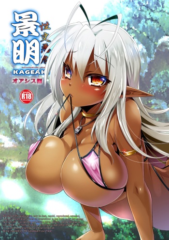 Seikou Akki Kageaki Oasis Hen cover