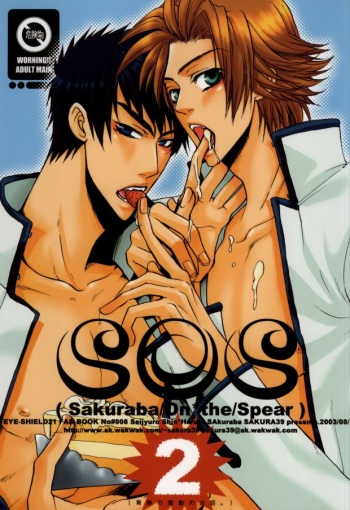 SOS 2 cover