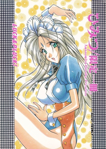 Himitsu/Gentei Issatsu cover