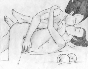 chichi and vegeta, misato and shinji, hero and jessica, inuyasha and kogome, akane and ryoga gifs cover