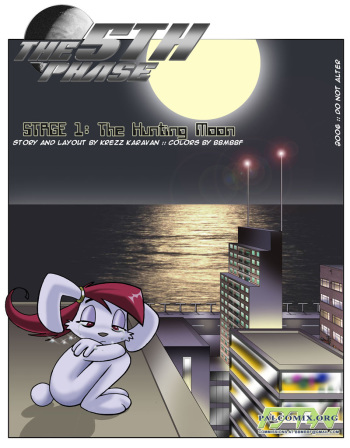 The 5th Phase cover