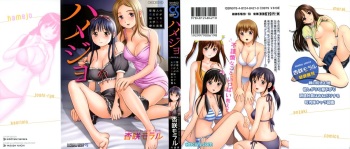 Hamejo cover