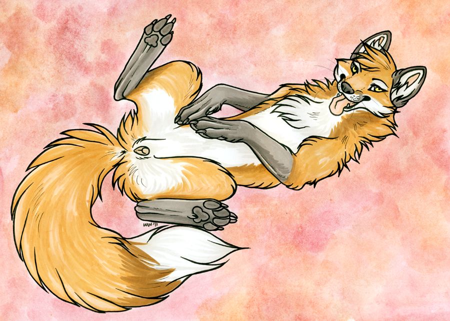 Female Animal Genitalia page 5 full