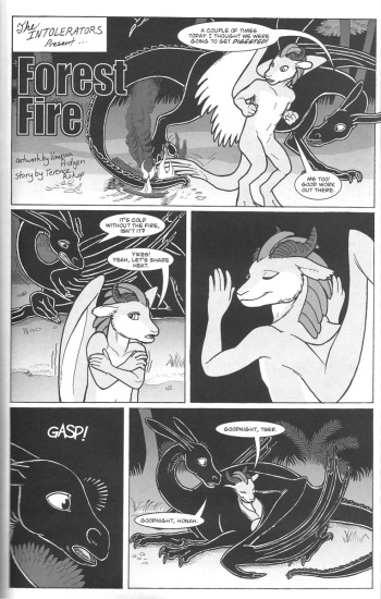 Forest Fire cover