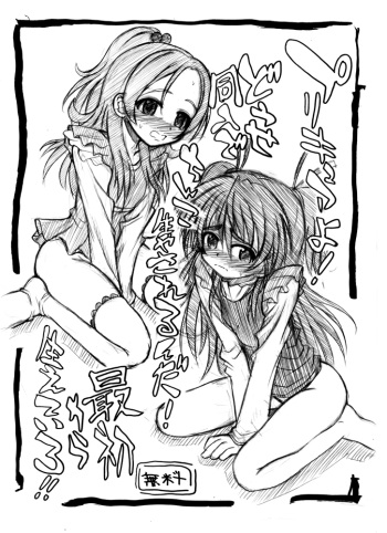 2011冬コミコピー本 cover