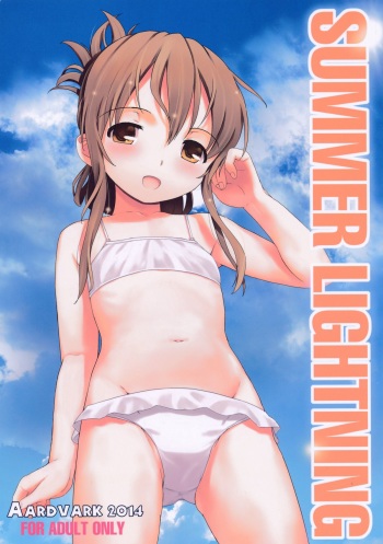 SUMMER LIGHTNING cover