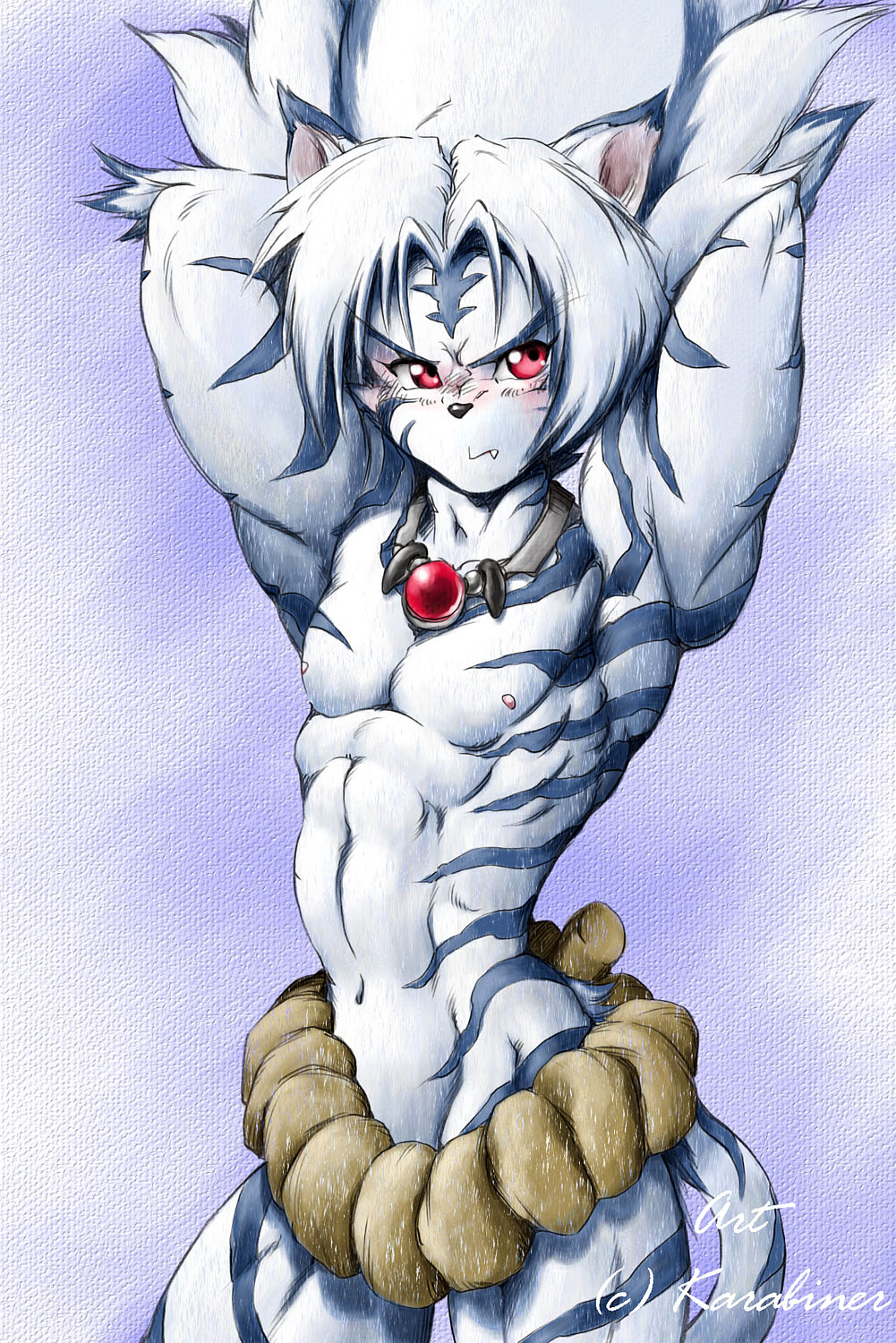 2005 Karabiner Art CD page 5 full
