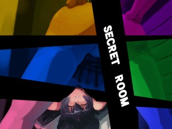 Secret room cover