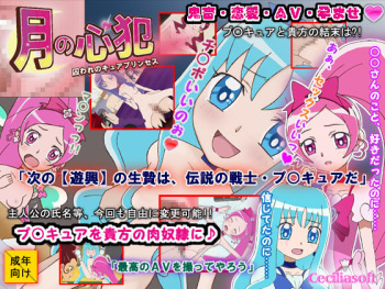 Tsuki no Shinpan -Toraware no Cure Princess- cover