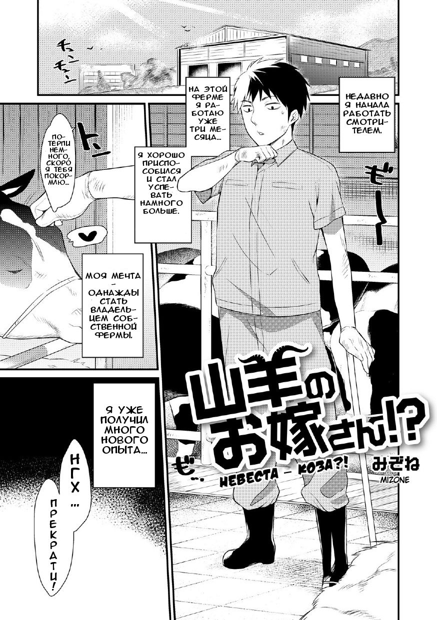 Yagi no Oyome-san!?  | Я женился на козе!? page 1 full