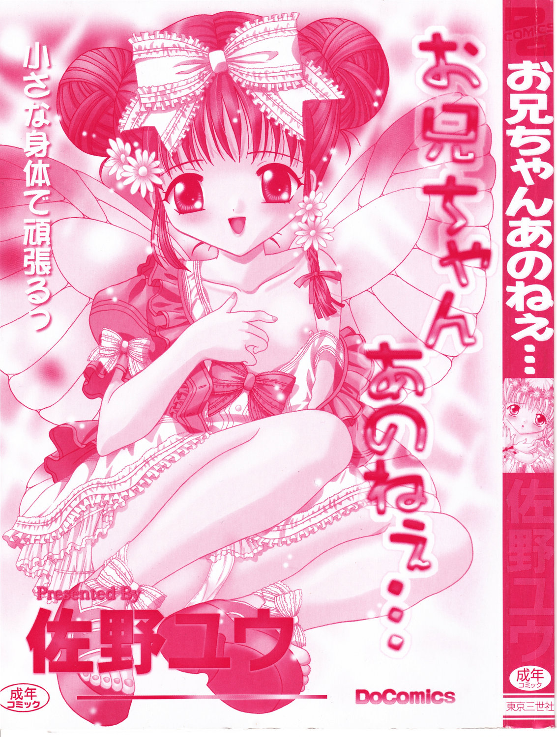 Onii-chan Anonee... page 3 full