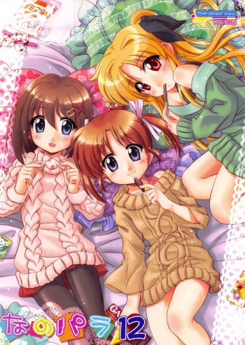 Nano-para 12 cover