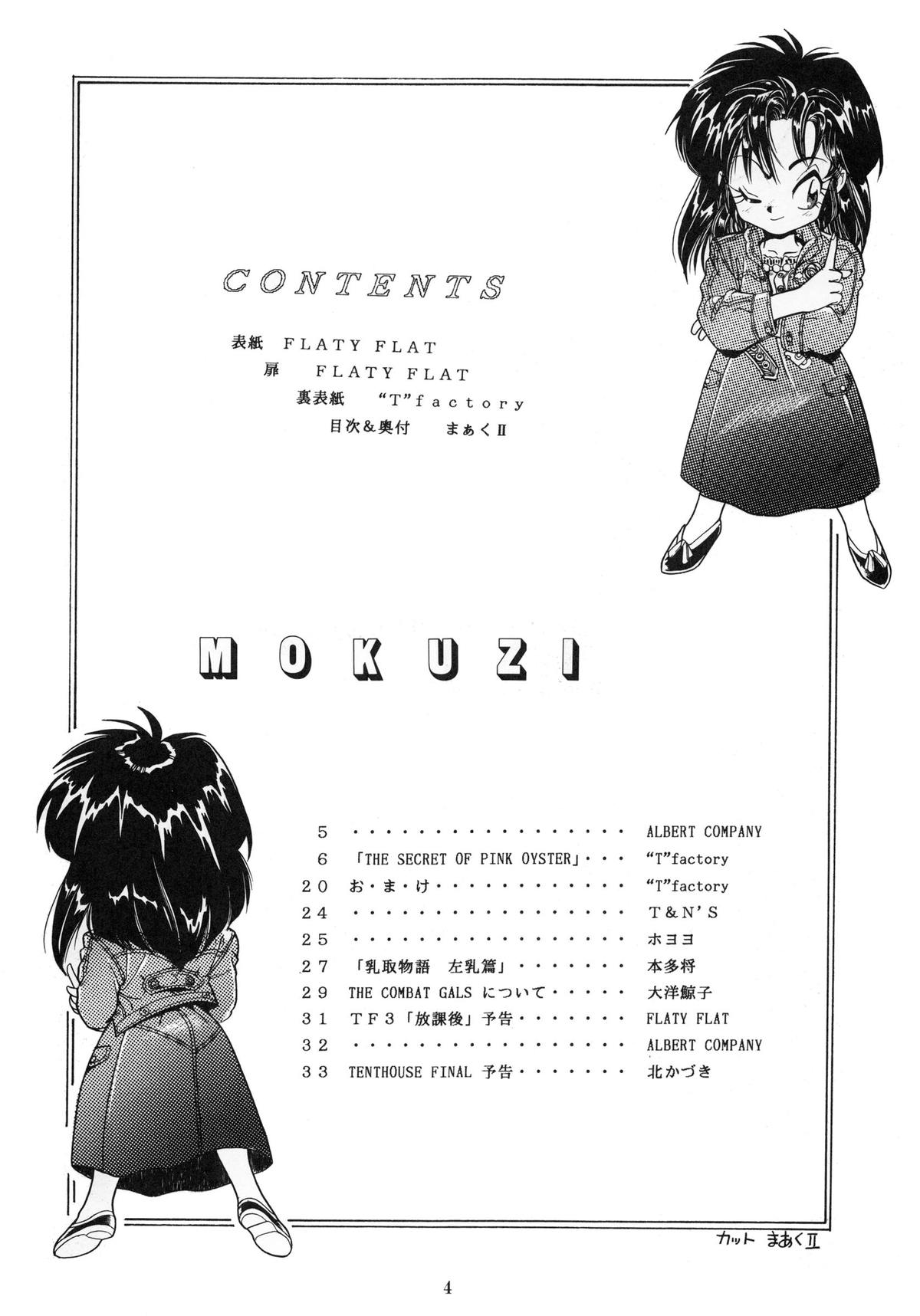 TF 2 -'T' no Wagamama 'F' no Yuuutsu 2- page 4 full