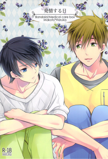 Hatsujou suru Hi cover
