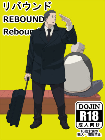 Rebound cover