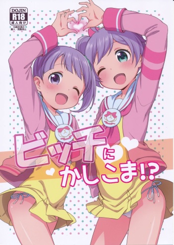 Bitch ni kashikoma!? cover