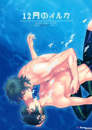 12-gatsu no Iruka | December Dolphin cover