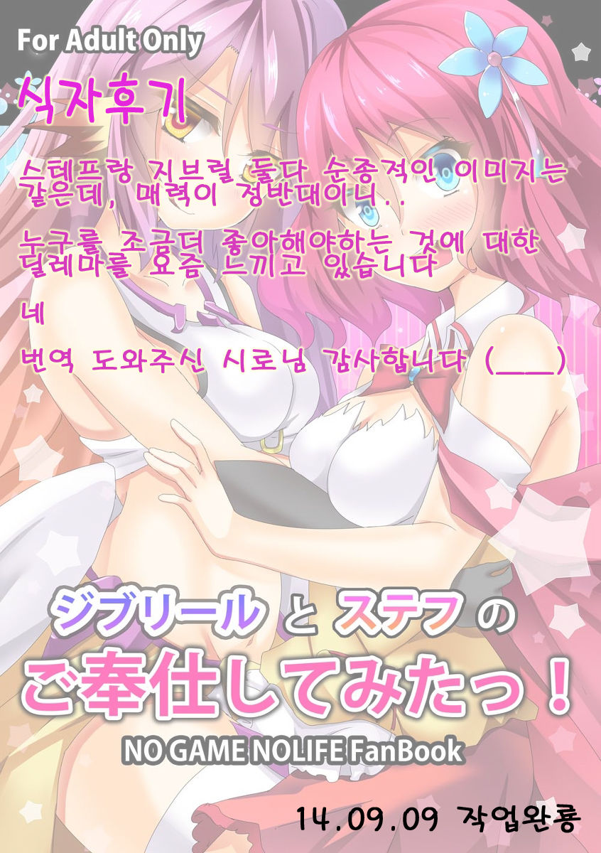 【C86新刊】ノゲノラの薄い本【ジブリ&amp;ステフ】 no game no life sample page 6 full