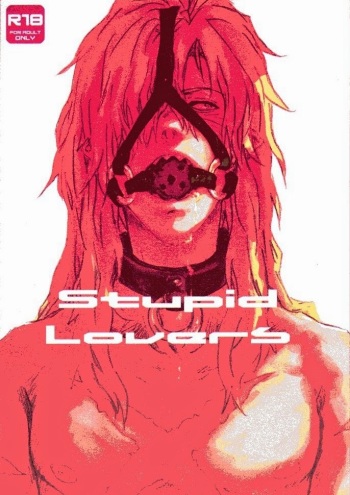 Stupid Lovers cover