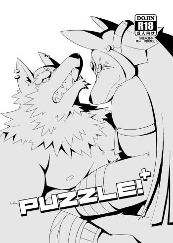 Puzzle!+ cover