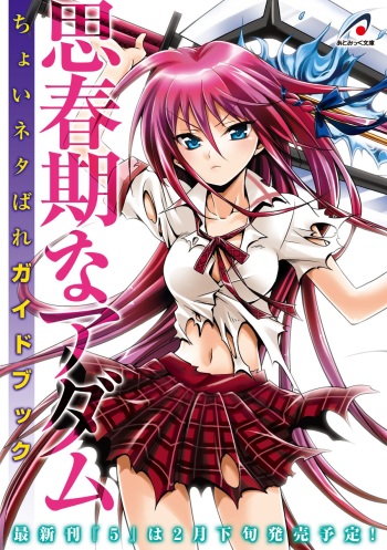 Shishunki na Adam Choi Netabare Guidebook cover