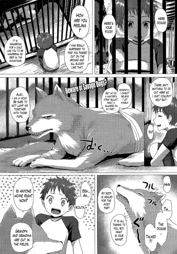 Heisei Hourouki | Chronicle of a Heisei Pleasuring Wolf cover