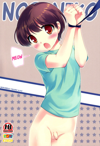 Noraneko cover