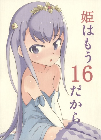 Hime wa Mou 16 Dakara cover