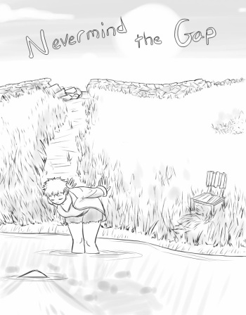 Never Mind the Gap cover