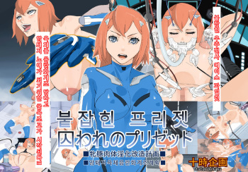 Toraware no Prizet ~Mesubuta Nikutai Inka Kaizou Keikaku~ cover