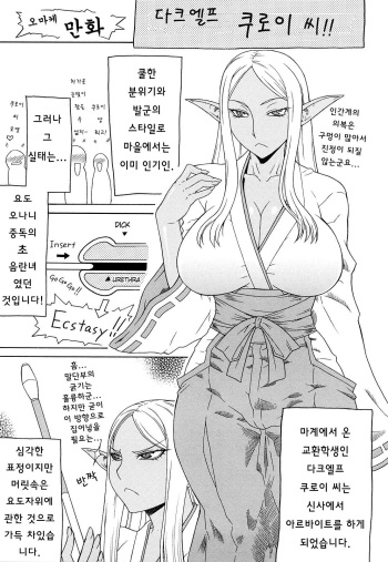 Dark Elf Kuroi-san cover