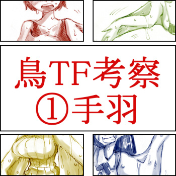 Tori TF ni Kansuru Kousatsu to Renshuu cover