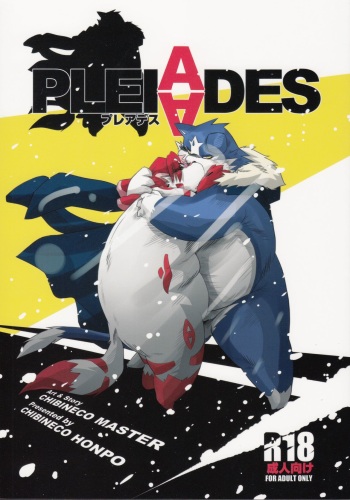 PLEIADES cover