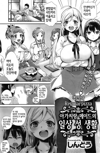 Ojousama to Maid no Nichijou Seikatsu | 아가씨랑 메이드의 일상 성 생활 cover
