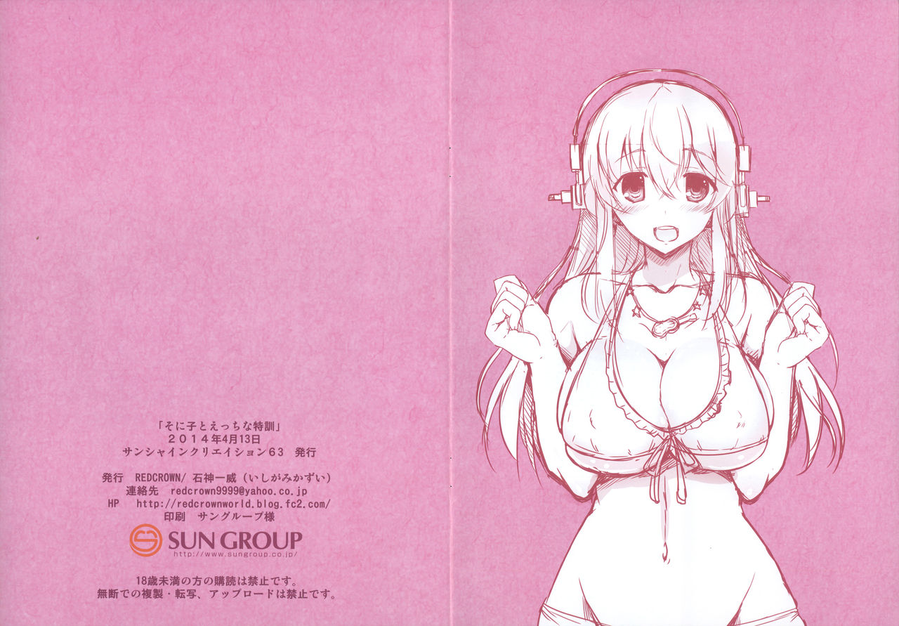 Sonico To Ecchi na Tokkun | Special Sex Training with Sonico page 2 full