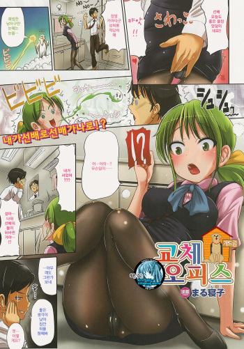 Irekawari Office cover
