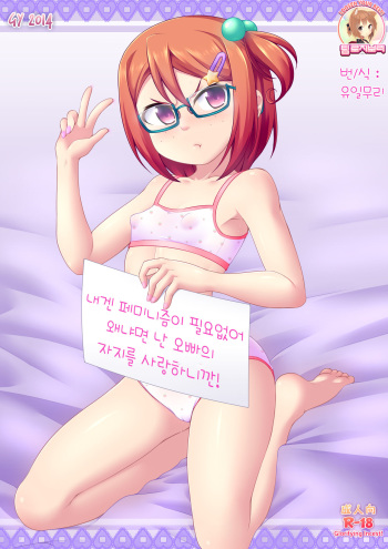 I Don't Need Feminism Because... cover