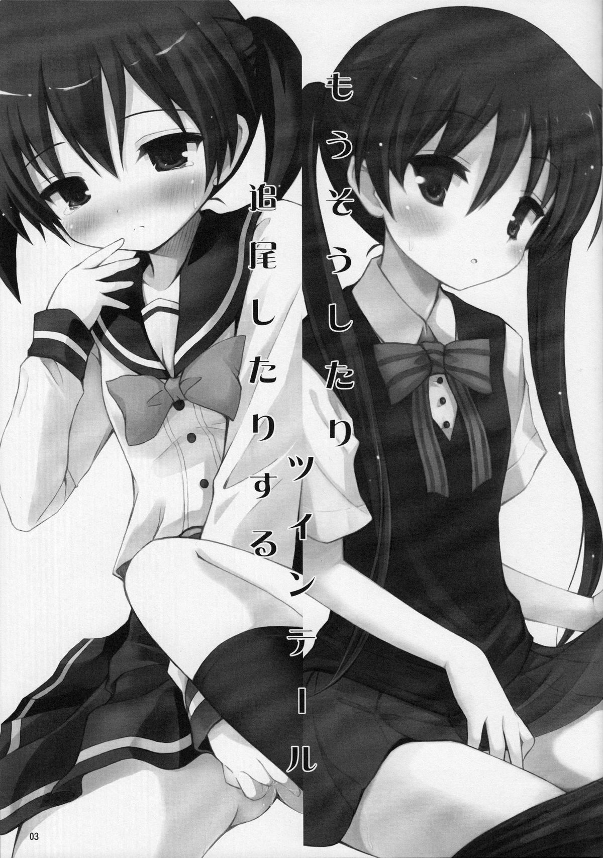 Mousou Shitari Tsuibi Shitari Suru Twintail page 2 full