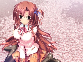 Sakura no Shippo ~Sakura Tale Fandisc~ cover