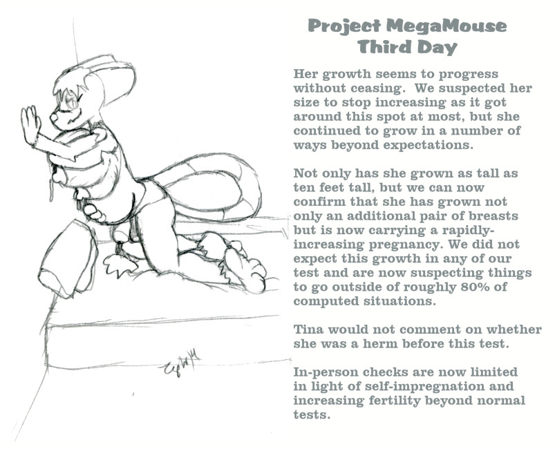 Project MegaMouse page 4 full