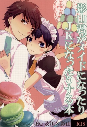 影山君がメイドになったりJKになったりする本 cover