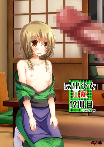 Roshutsu Shoujo Nikki 12 Satsume cover