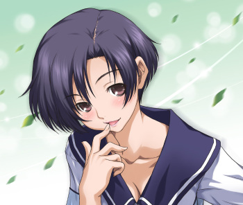 joy ride - Pixiv Collection cover