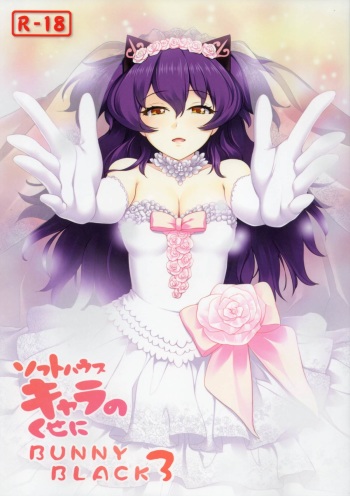 Softhouse Chara no Kuseni BUNNYBLACK 3 cover