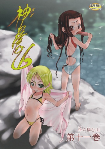 Nushi no Sumu Yama Vol. 11 cover